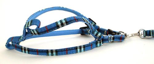 Pet Harness Set & Leash (Blue Big) NEW