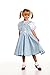 Kidcostumes Child's Dorothy Costume Dress for The Wizard of Oz, Small 4/6