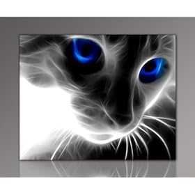 Offre g�niale! Image s�r �cran xxl, bon march� et moderne (Magic_Cat-1-40x50cm) Images tendue sur ch�ssis, enorme, � trouver sur site internet. Press d�art nouveau comme image d�corative avec cadre de bois. Bonne id�e pour d�coration int�rieure. Moins cher que des images � l�huile. Dessin, photogaphie, poster, affiche avec cadre. D�co pour salle de s�jour o� chambre � coucher - Picture style (des animaux Cat abstraite ?il magique). 100% fabriqu�e en Allemagne - qualit� d�Allemagne. Autres images dans le shop internet.