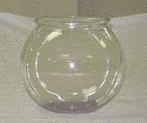 plastic fish bowl
