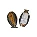 Gourmet Food : Scottish Genuine Caster Kippers - 12-16 oz (avg. weight)