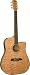 Alvarez FDT243C Fusion Series Thin Dreadnought Acoustic-Electric Guitar