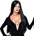 Rubie's Costume The Addams Family Deluxe Morticia Wig