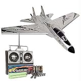 RADIO CONTROLED F-15 TOMCAT