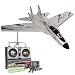 RADIO CONTROLED F-15 TOMCAT