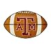 Texas A&M University Football Rug- 22x35
