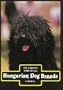 Hungarian Dog Breeds