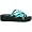 Aster Turquoise