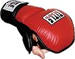 TITLE MMA Striking Training Gloves