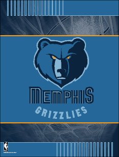 NBA Vertical Memphis Grizzlies Flag / Banner