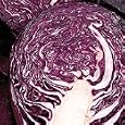 Red Drumhead Cabbage 150 Seeds - Heirloom - Veggie
