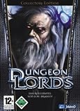 Eigenschaften JoWooD Production  / Dungeon Lords Collector's Edition (DVD-ROM)