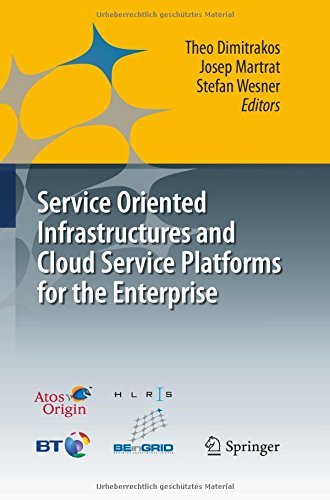 Service Oriented Infrastructures and Cloud Service Platforms for the Enterprise