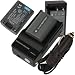 Charger + 2 Battery for Sony Handycam DCR-DVD92 NP-FP50 NPFP50 + car plug