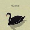 Image of album by Bert Jansch