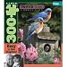Garden Bluebirds 300 pc Hautman Brothers Large Format Jigsaw Puzzle by Buffalo Games