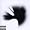 A Thousand Suns