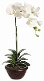20 Phalaenopsis Orchid Artificial Flower Plant, Cream, SALE!
