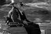 Search : The Three Mesquiteers First Film: Law of the 45s (1935) [DVD] - A Classic Old Western Film By John McCarthy and Starring Guinn Big Boy Williams, Molly ODay, Al St. John, Ted Adams, and Fred Burns.