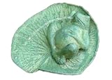 Zoobox ZF-0204F Water Gardening Frog on Back on Lilly Pad Verdi