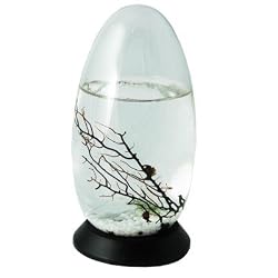 Small 5" Pod EcoSphere