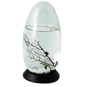 Ecosphere Pod