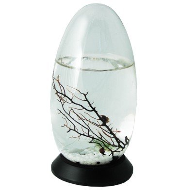 Small 5 Pod EcoSphere