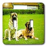 Dogs Mastiff - Mastiff - Light Switch Covers - double toggle switch