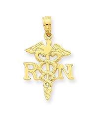14k Polished R.N. Pendant