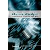 Schwermetallanalysen: Die musikalische Sprache des Heavy Metal