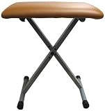 Musical Instruments : Casio Matching Bench for WK-8000