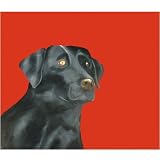 25 Pack Black Labrador Retriever Note Cards by Dick Larsen