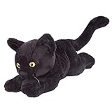 cat-Floppy Black Shorthair Black Cat 7