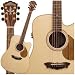 Washburn DD55SWCE Augusta Series Dreadnought Acoustic Electric Guitar