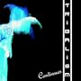 Tribalism Continues (D-Unity's Filthy Drum Mix)