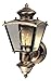 Heath Zenith SL-4150-AB 150-Degree Motion-Activated Charleston Coach Decorative Lantern, Antique Brass