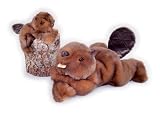 Timber Jr.-Beaver