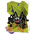 Santoro Graphics Swing Card / Greeting Card - Spider - SC29
