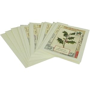 Seasons Greetings Holly Cavallini Boxed Cards and Envelopes Set of 10 with Vintage Look 3Pack
