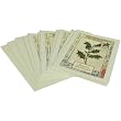 Seasons' Greetings Holly Cavallini Boxed Cards and Envelopes, Set of 10 with Vintage Look