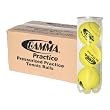 Gamma Pro Practice Balls (24 Cans)