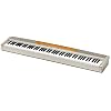 CASIO 電子ピアノ Privia PX-120LB 鍵盤数88標準鍵