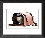 Framed Prints of LA-5728 Cat - Birman kitten in studio in cat carrying bag from Ardea Wildlife Pets