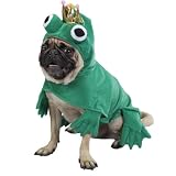 Z & Z Prince Of Frogs Costume Sm