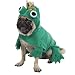 MEDIUM - PRINCE OF FROGS - Pet Halloween Costume