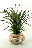 Dracaena And Wild Grass In Large Round Ball Planter