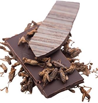 Delysia Cricket Bark 8oz
