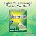 Nicorette Gum Fresh Mint 2 mg -190 Count