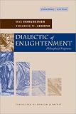 Dialectic of Enlightenment [DIALECTIC OF ENLIGHTENMENT]