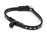 Purr Power Cat Collar with Rhinestones,  3/8 Wide x 10 Long